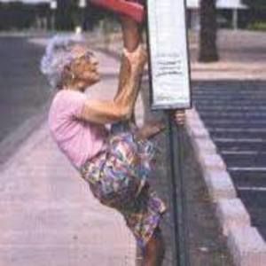 Meet your Posher, Darla